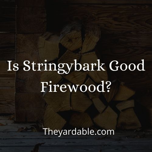 stingbark firewood thumbnail