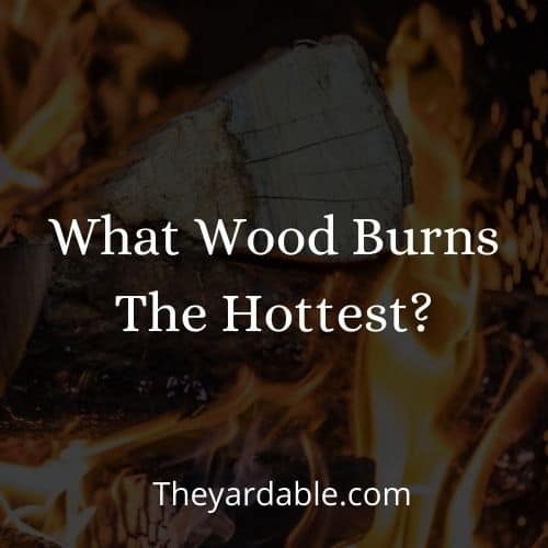 hottest burning firewood types