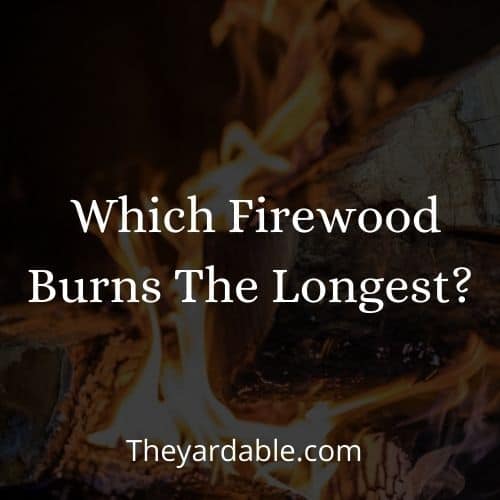 longest burning firewood