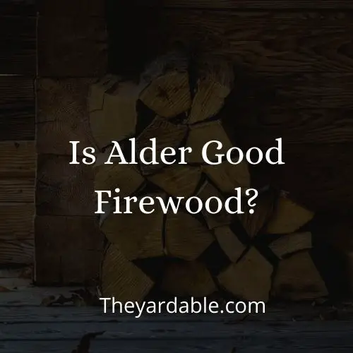 alder firewood thumbnail