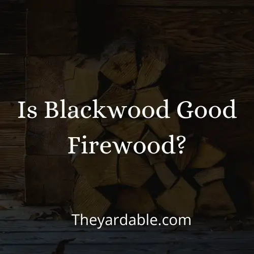 blackwood firewood thumbnail