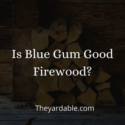 blue gum firewood thumbnail