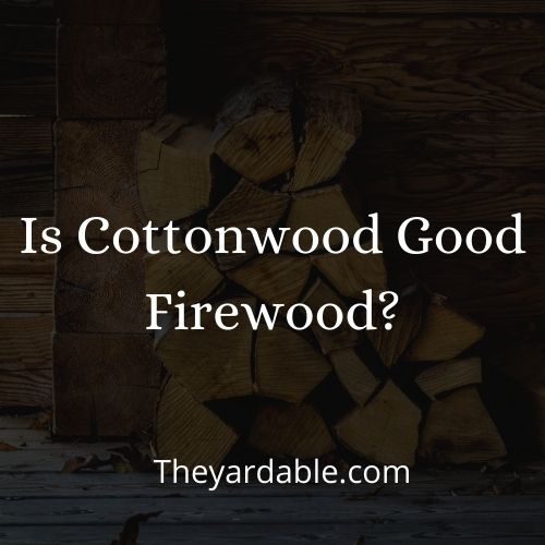 cottonwood firewood thumbnail