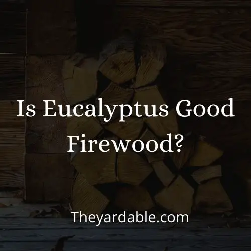 eucalyptus firewood thumbnail