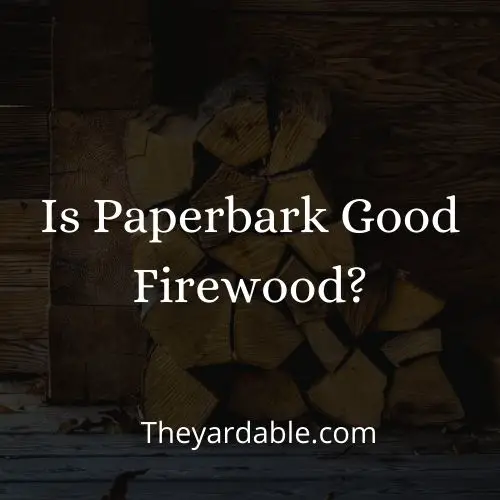 paperbark firewood thumbnail
