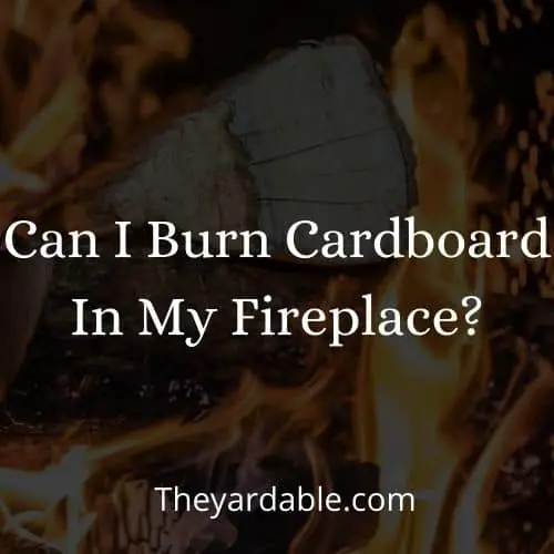 burning cardboard in fireplace thumbnail