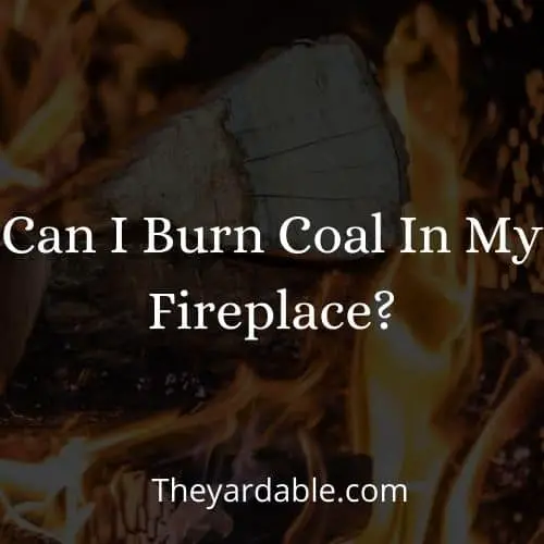 Can I Burn Coal In My Fireplace?
