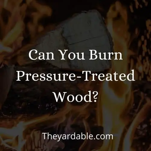 burning pressure treated wood