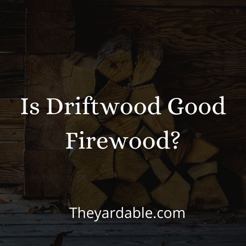 driftwood firewood