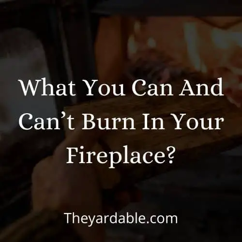 what you should not burn in your fireplace