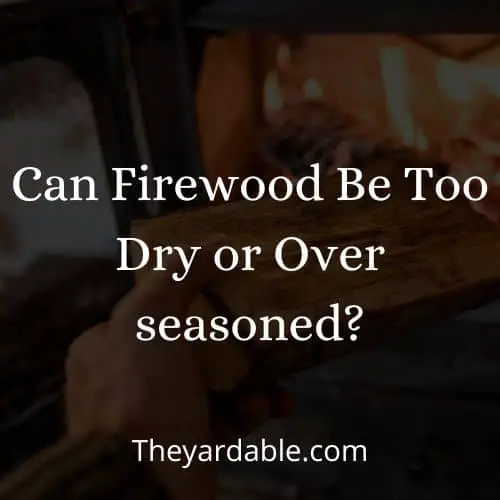 firewood too dry for burning thumbnail