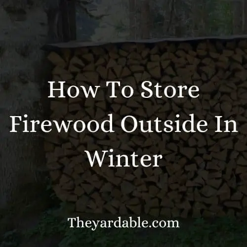 firewood storage outside in winter