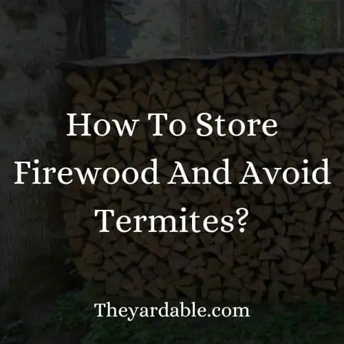 avoiding termite infestation while storing firewood