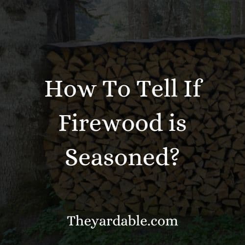 determining if the wood is dry enough for burning