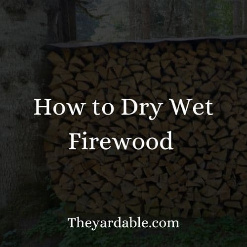drying firewood that has been in contact with water