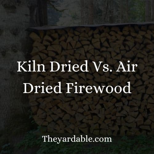 choose kiln dried or air dried firewood