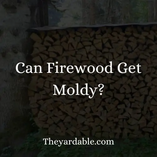 what to do with molding firewood