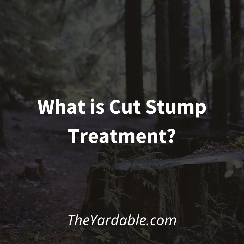 Cut stump treatment featured image