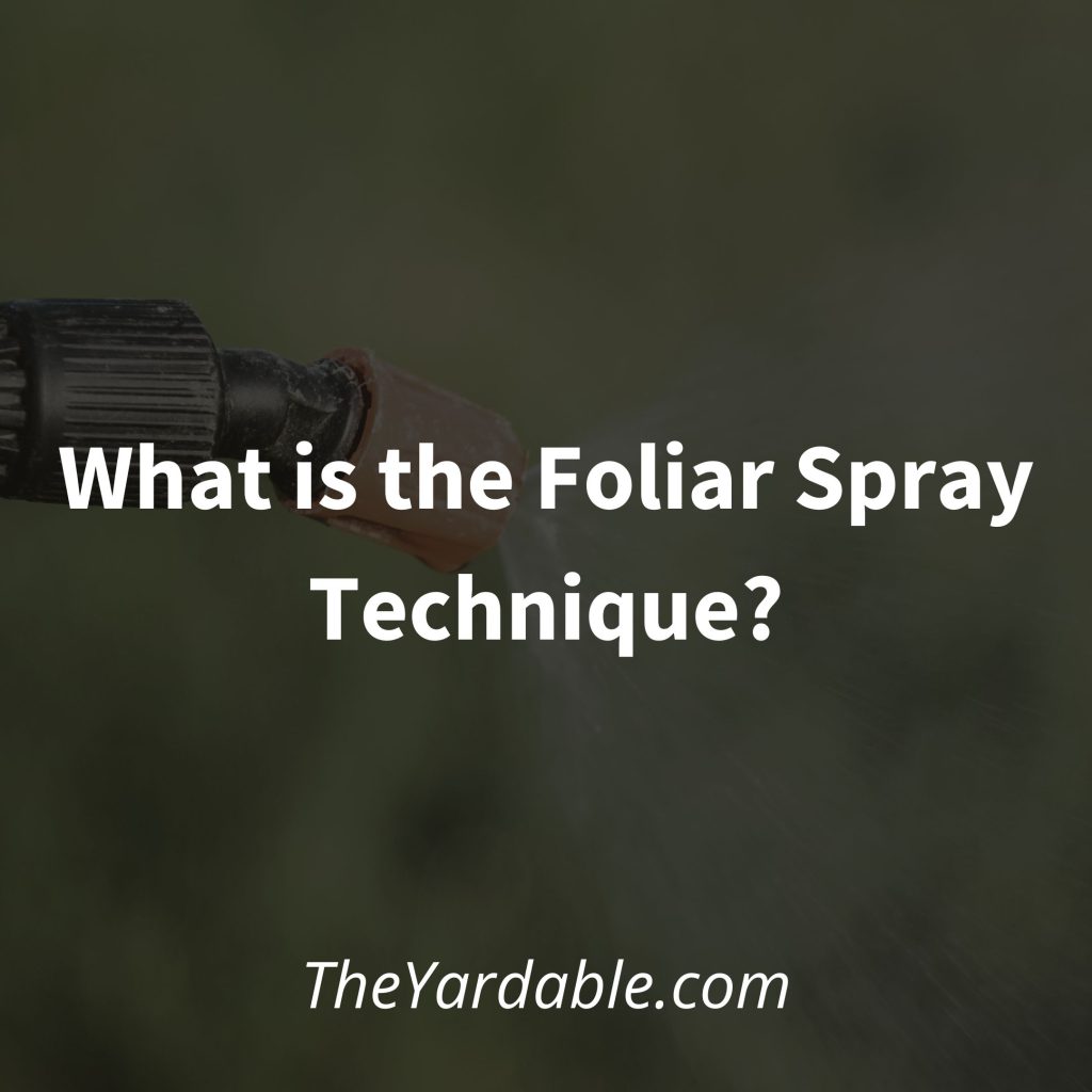 What-is-the-Foliar-Spray-method featured image
