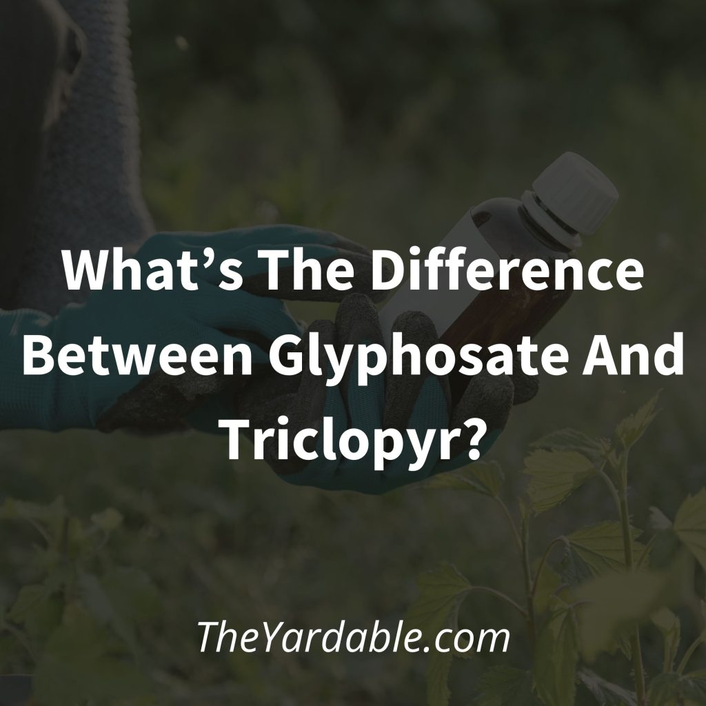 Whats-The-Difference-Between-Glyphosate-And-Triclopyr Featured Image