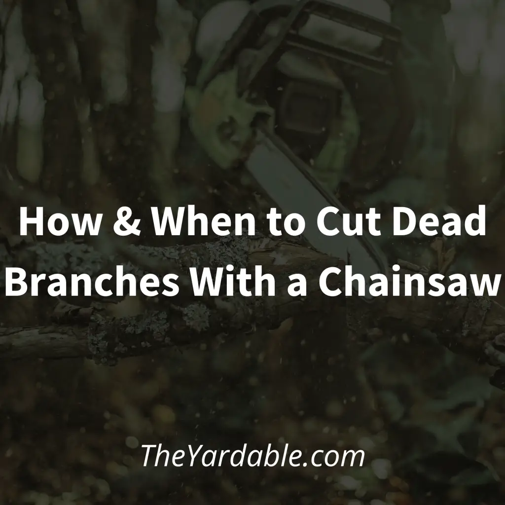 Cut dead branches with a chainsaw featured image