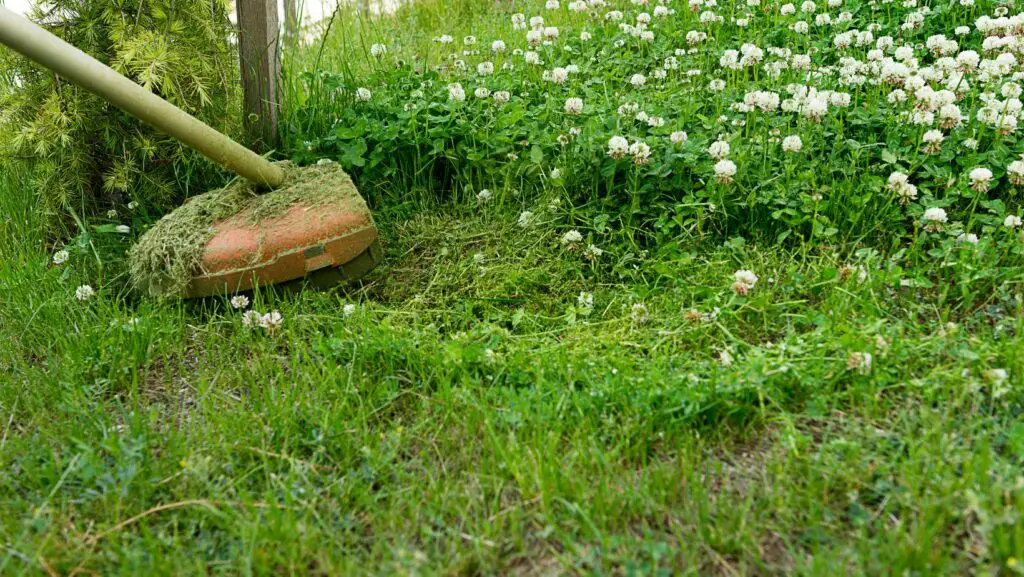 String trimmer being used to clear grass and weeds