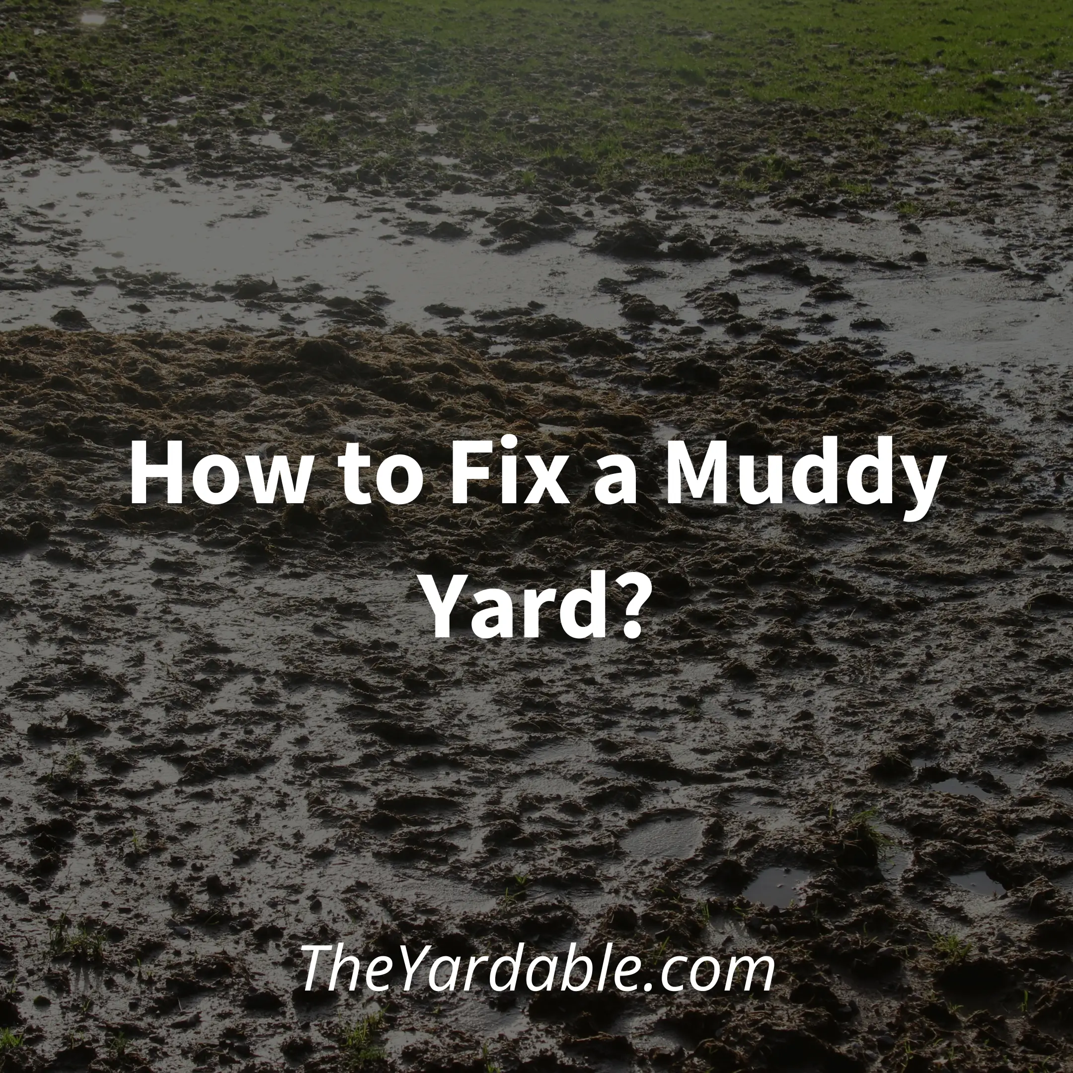 How To Fix A Muddy Yard?