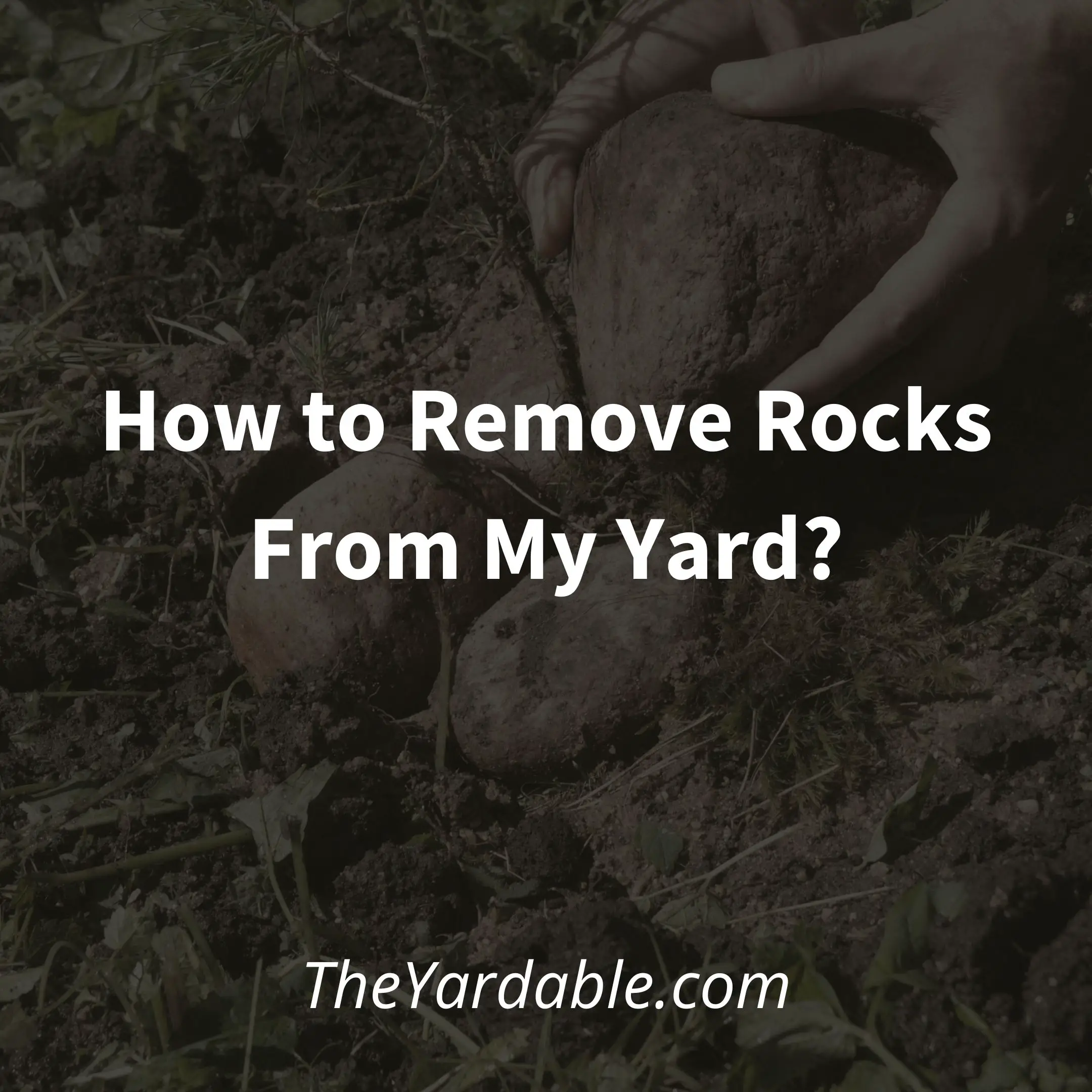How To Remove Rocks From Yard And Soil