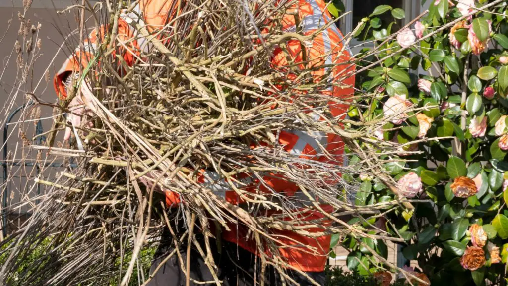 Man in work jacket removing a load of brush