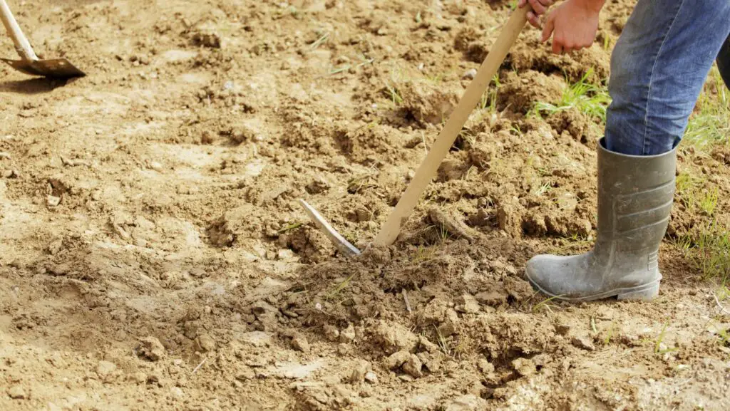 Man removing rocks from the ground with a pickaxe