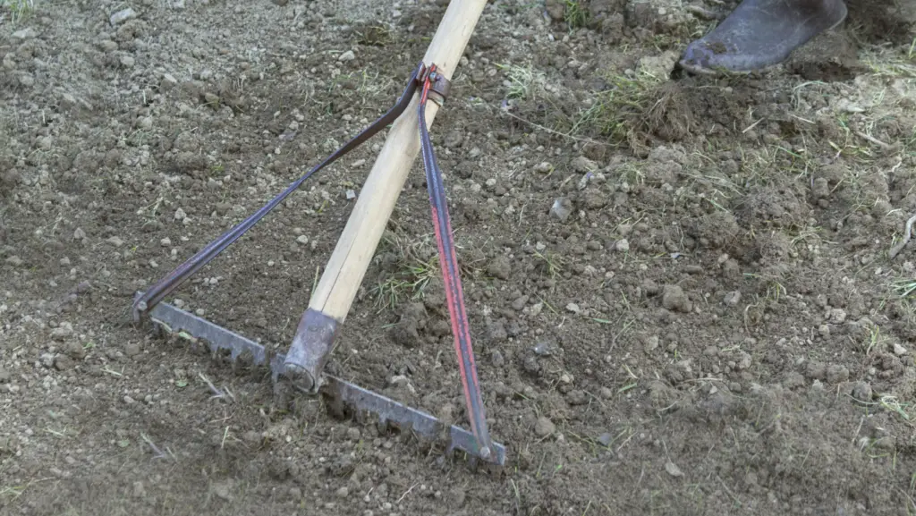 Closeup photo of rake on garden soil loosening it