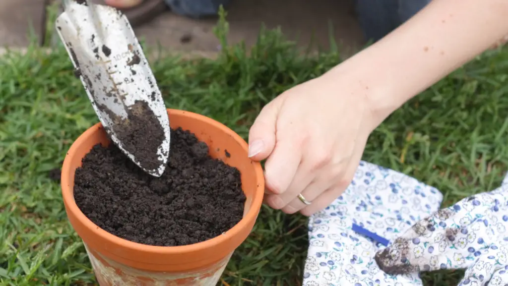 A woman filling a pot with garden soil