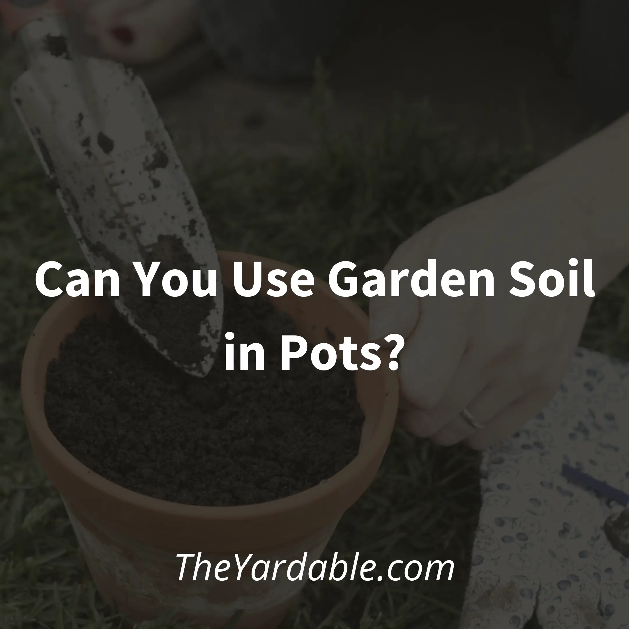 Can I Use Garden Soil in Pots? – What You Need to Know