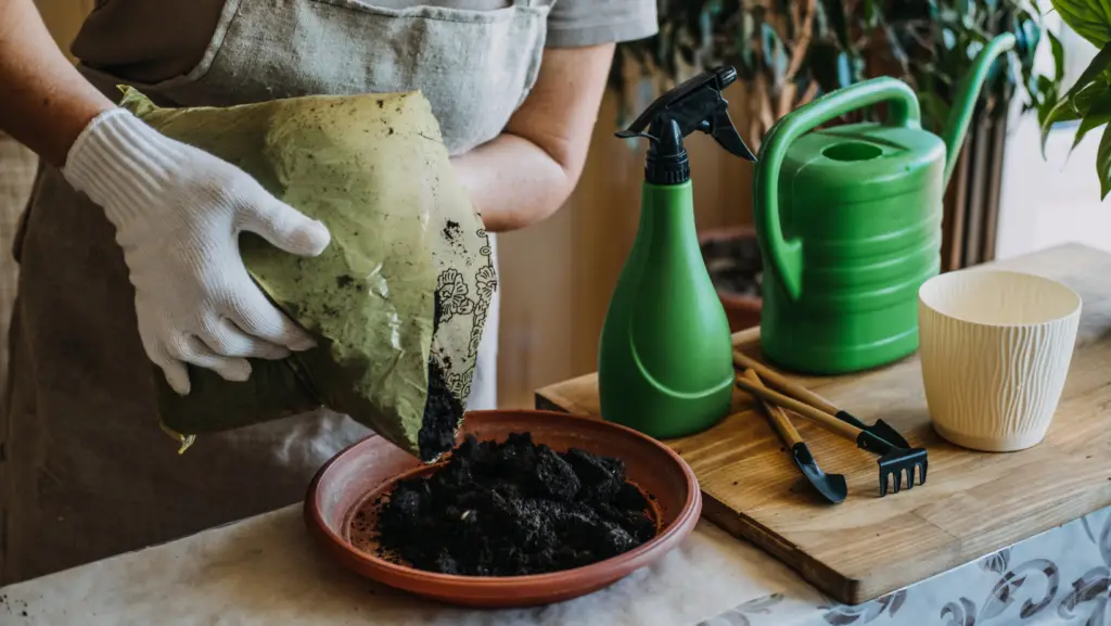 Woman using potting soil for potted plants